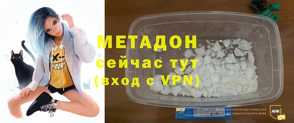 прущие грибы Бородино