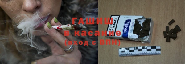 прущие грибы Бородино