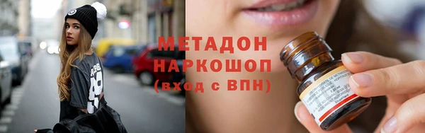 прущие грибы Бородино