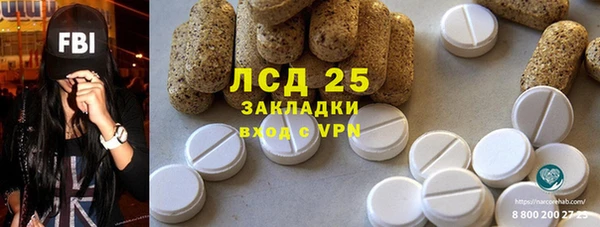 прущие грибы Михайловка