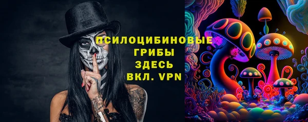 соль ск Бугульма