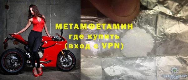 прущие грибы Бородино