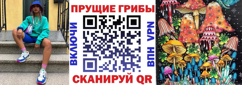 Псилоцибиновые грибы Psilocybine cubensis гидра зеркало маркетплейс как зайти Старица